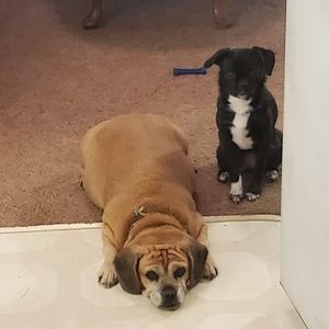 Meet your Posher, Mark